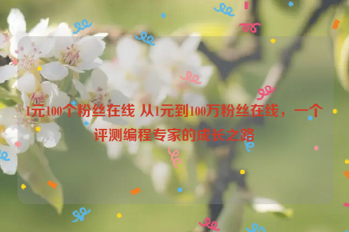 1元100个粉丝在线 从1元到100万粉丝在线，一个评测编程专家的成长之路