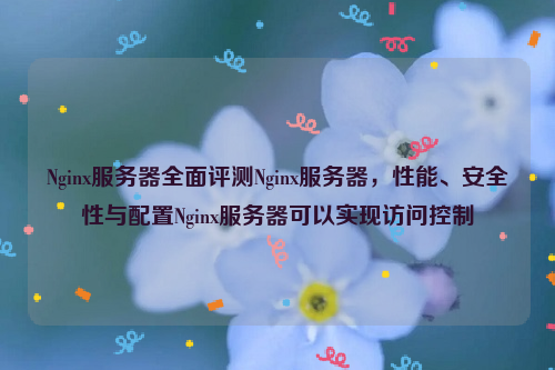 Nginx服务器全面评测Nginx服务器，性能、安全性与配置Nginx服务器可以实现访问控制