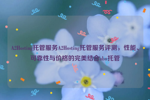 A2Hosting托管服务A2Hosting托管服务评测，性能、可靠性与价格的完美结合abn托管