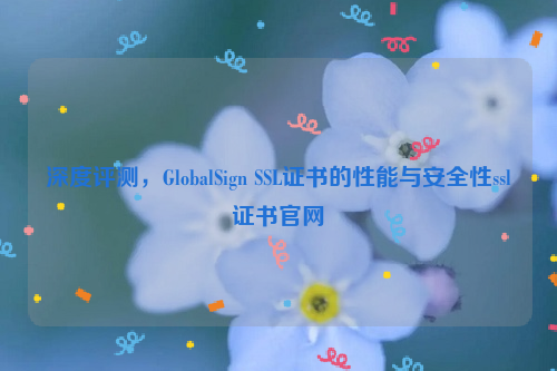 深度评测，GlobalSign SSL证书的性能与安全性ssl证书官网