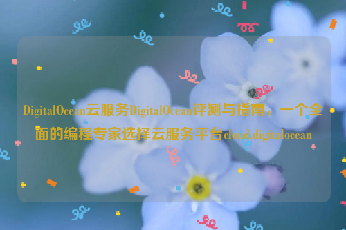 DigitalOcean云服务DigitalOcean评测与指南，一个全面的编程专家选择云服务平台cloud.digitalocean