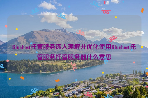 Bluehost托管服务深入理解并优化使用Bluehost托管服务托管服务器什么意思