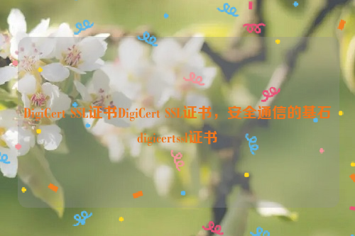 DigiCert SSL证书DigiCert SSL证书，安全通信的基石digicertssl证书