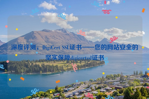 深度评测，DigiCert SSL证书——您的网站安全的坚实保障digicertssl证书