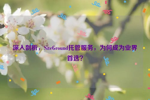 深入剖析，SiteGround托管服务，为何成为业界首选？