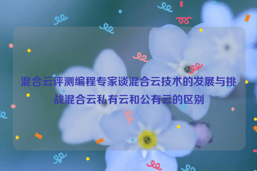 混合云评测编程专家谈混合云技术的发展与挑战混合云私有云和公有云的区别