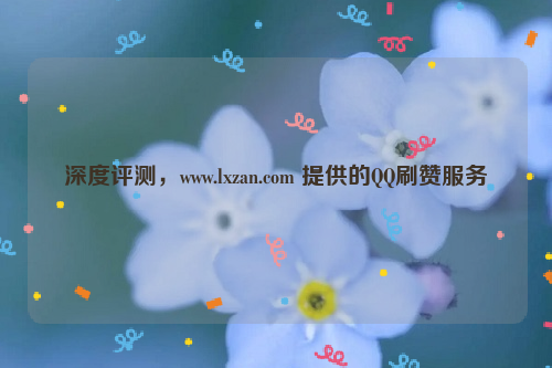 深度评测，www.lxzan.com 提供的QQ刷赞服务