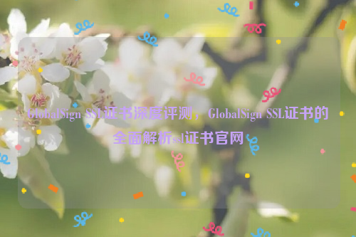 GlobalSign SSL证书深度评测，GlobalSign SSL证书的全面解析ssl证书官网