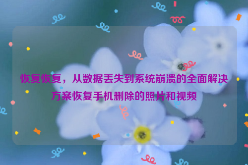 恢复恢复，从数据丢失到系统崩溃的全面解决方案恢复手机删除的照片和视频