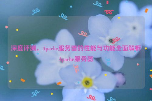 深度评测，Apache服务器的性能与功能全面解析Apache服务器