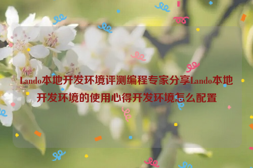 Lando本地开发环境评测编程专家分享Lando本地开发环境的使用心得开发环境怎么配置