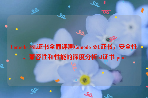 Comodo SSL证书全面评测Comodo SSL证书，安全性、兼容性和性能的深度分析ssl证书 pem