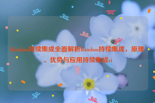 Bamboo持续集成全面解析Bamboo持续集成，原理、优势与应用持续集成ci