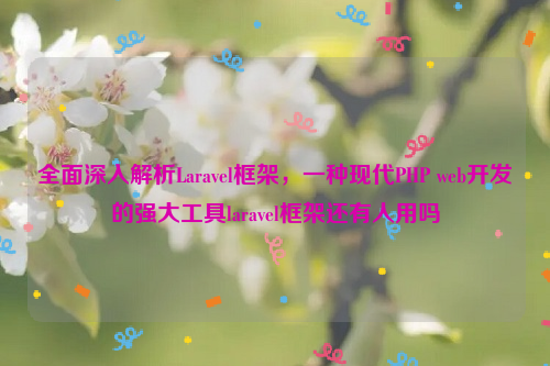 全面深入解析Laravel框架，一种现代PHP web开发的强大工具laravel框架还有人用吗