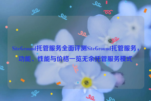 SiteGround托管服务全面评测SiteGround托管服务，功能、性能与价格一览无余托管服务模式