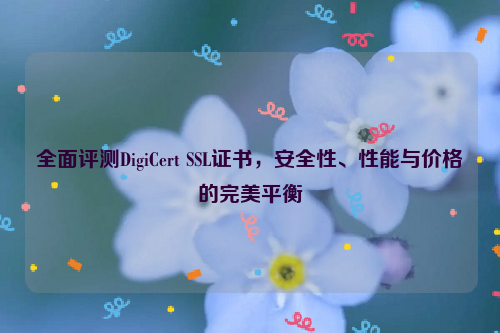 全面评测DigiCert SSL证书，安全性、性能与价格的完美平衡