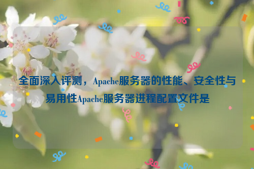 全面深入评测，Apache服务器的性能、安全性与易用性Apache服务器进程配置文件是