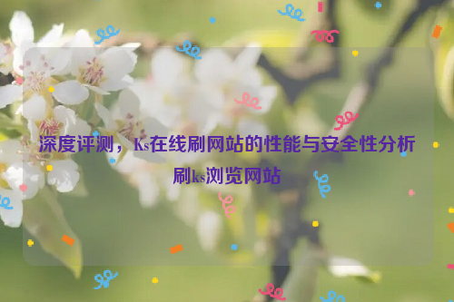 深度评测，Ks在线刷网站的性能与安全性分析刷ks浏览网站