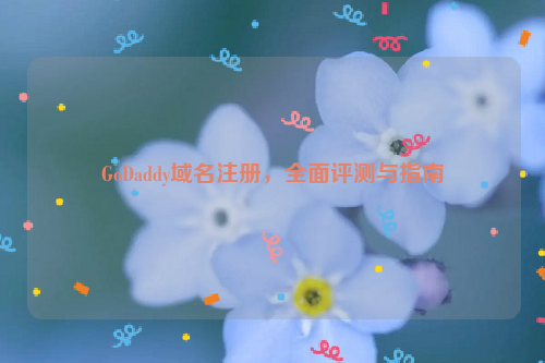 GoDaddy域名注册，全面评测与指南