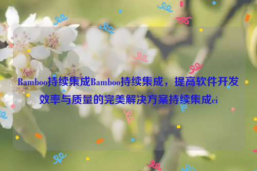 Bamboo持续集成Bamboo持续集成，提高软件开发效率与质量的完美解决方案持续集成ci