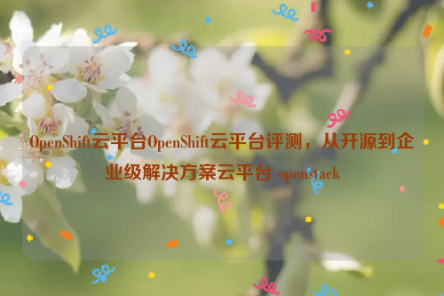 OpenShift云平台OpenShift云平台评测，从开源到企业级解决方案云平台 openstack