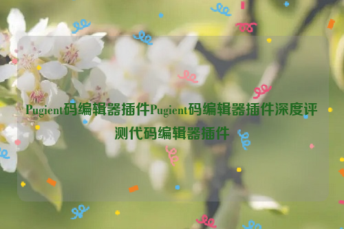 Pugient码编辑器插件Pugient码编辑器插件深度评测代码编辑器插件