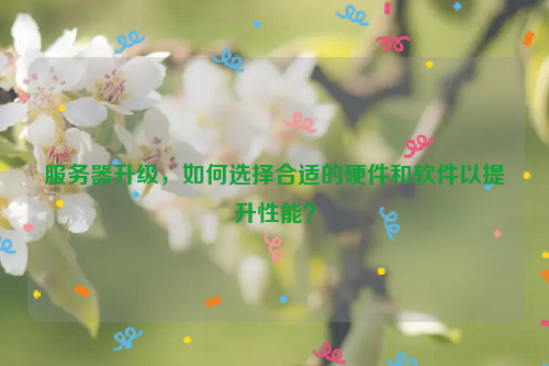 服务器升级，如何选择合适的硬件和软件以提升性能？