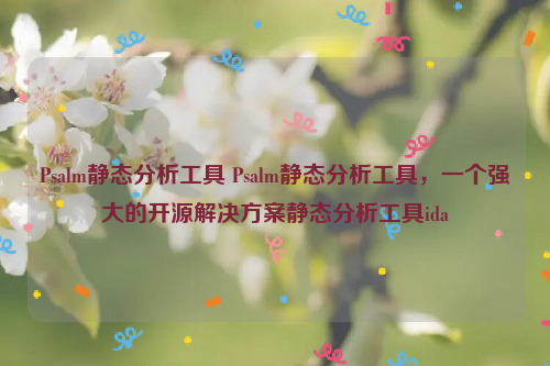 Psalm静态分析工具 Psalm静态分析工具，一个强大的开源解决方案静态分析工具ida