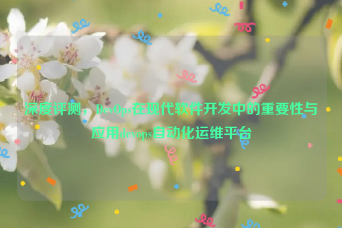 深度评测，DevOps在现代软件开发中的重要性与应用devops自动化运维平台