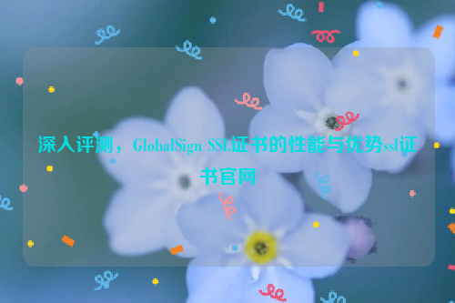 深入评测，GlobalSign SSL证书的性能与优势ssl证书官网