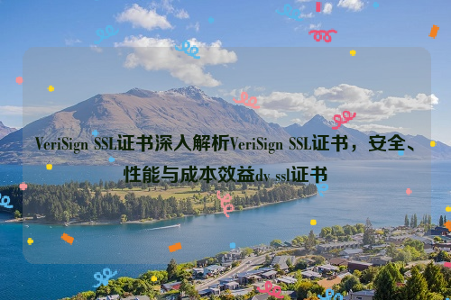 VeriSign SSL证书深入解析VeriSign SSL证书，安全、性能与成本效益dv ssl证书