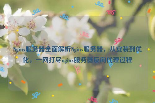 Nginx服务器全面解析Nginx服务器，从安装到优化，一网打尽nginx服务器反向代理过程