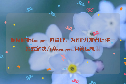 深度解析Composer包管理，为PHP开发者提供一站式解决方案composer包管理机制