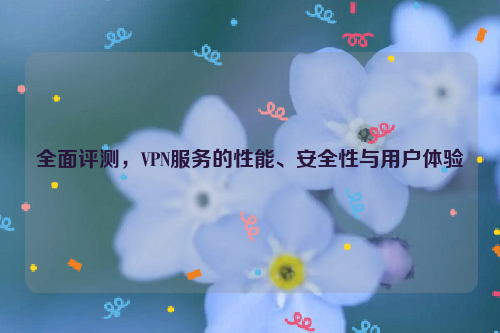 全面评测，VPN服务的性能、安全性与用户体验