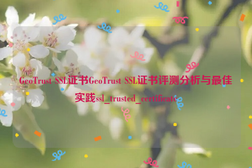 GeoTrust SSL证书GeoTrust SSL证书评测分析与最佳实践ssl_trusted_certificate