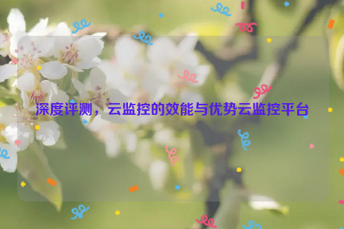 深度评测，云监控的效能与优势云监控平台