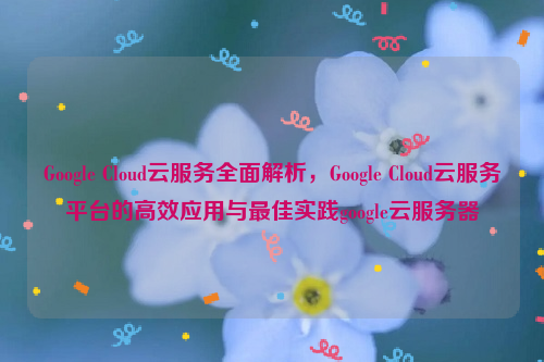 Google Cloud云服务全面解析，Google Cloud云服务平台的高效应用与最佳实践google云服务器