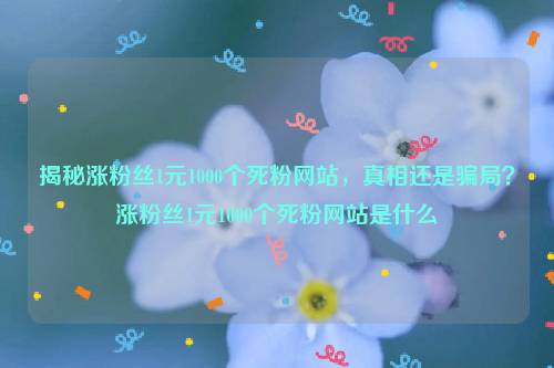 揭秘涨粉丝1元1000个死粉网站，真相还是骗局？涨粉丝1元1000个死粉网站是什么