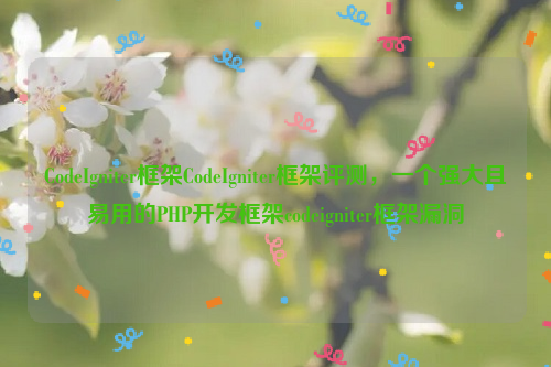 CodeIgniter框架CodeIgniter框架评测，一个强大且易用的PHP开发框架codeigniter框架漏洞