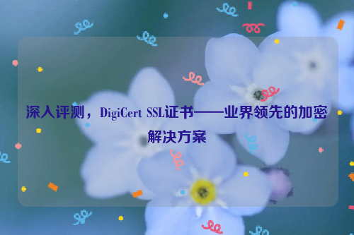 深入评测，DigiCert SSL证书——业界领先的加密解决方案