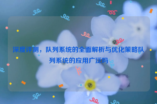 深度评测，队列系统的全面解析与优化策略队列系统的应用广泛吗