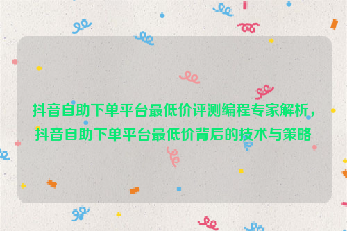 抖音自助下单平台最低价评测编程专家解析，抖音自助下单平台最低价背后的技术与策略