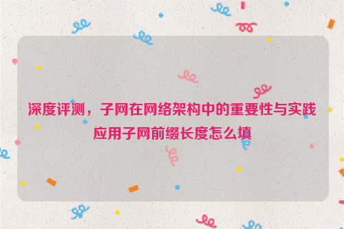 深度评测，子网在网络架构中的重要性与实践应用子网前缀长度怎么填