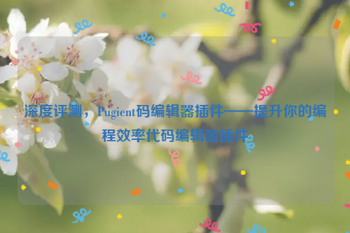 深度评测，Pugient码编辑器插件——提升你的编程效率代码编辑器插件