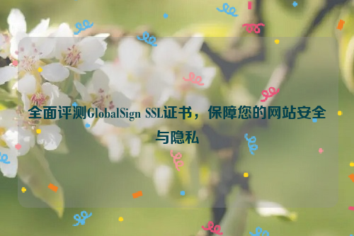 全面评测GlobalSign SSL证书，保障您的网站安全与隐私