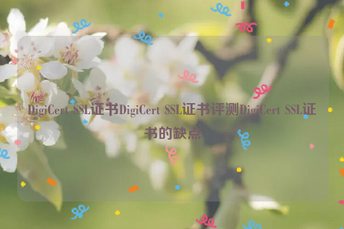 DigiCert SSL证书DigiCert SSL证书评测DigiCert SSL证书的缺点