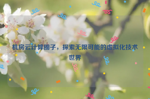 机房云计算圈子，探索无限可能的虚拟化技术世界