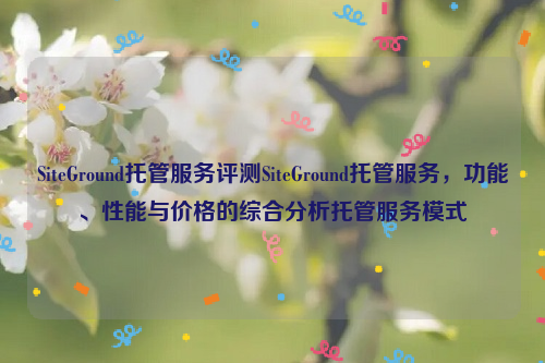 SiteGround托管服务评测SiteGround托管服务，功能、性能与价格的综合分析托管服务模式