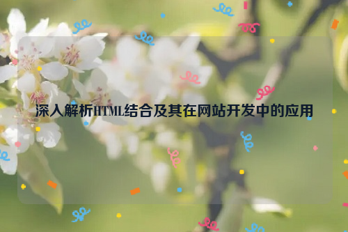 深入解析HTML结合及其在网站开发中的应用