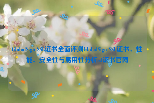 GlobalSign SSL证书全面评测GlobalSign SSL证书，性能、安全性与易用性分析ssl证书官网